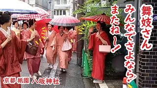 舞妓さん集結！八坂神社へ奉告！京都 祇園 の舞妓さんに遭遇の外国人観光客ラッキー！