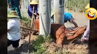 TOTAL IDIOTS AT WORK #70 | BAD DAY AT WORK | Fails Compilation 2023