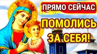 БОГОРОДИЦА НЕ КАЖДОМУ ПОСЫЛАЕТ ЭТУ МОЛИТВУ Помолись прямо сейчас и всегда будешь под защитой