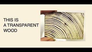 TRANSPARENT WOOD: science and technology news 2020