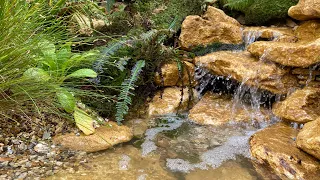 Small Wildlife Pond and Waterfall