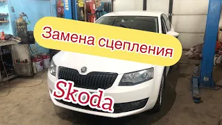 Skoda octavia A7 1.4 замена сцепления. Коробка мq250. Стук сцепления  Снятие коробки мкпп