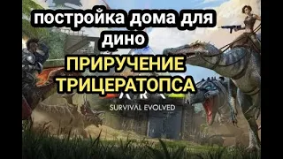 ARK survival evolved Постройка дома для дино и приручение трицератопса