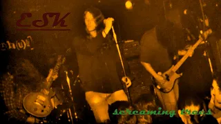 Screaming Trees-ESK (92 Live Demo)