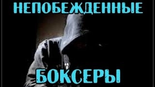 ТОП 5 НЕПОБЕЖДЕННЫЕ БОКСЕРЫ