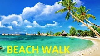 Beach Walk (2013) - VIK