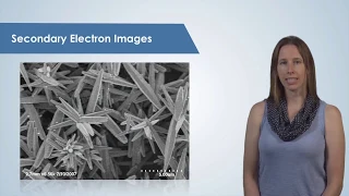 Introduction to the Scanning Electron Microscope (SEM)