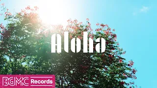 Hawaiian Sunshine: Vibrant Day with Aloha and Uplifting Hawaiian Music