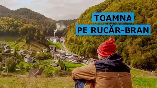 Doua zile de peisaje de toamna pe culoarul Rucar-Bran (Acasa, in natura - Ep. 27)