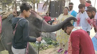 jay Baba Shri Ganeshai namah