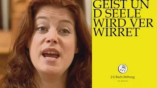 J.S. Bach - Cantata BWV 35 "Geist und Seele wird verwirret" (J. S. Bach Foundation)