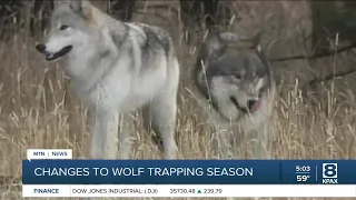 Changes to 2021-2022 wolf trapping season in Montana