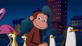 Georges le Petit Singe 🐵 Curious George et l'éléphant de compagnie ? 🐵 Dessins Animés