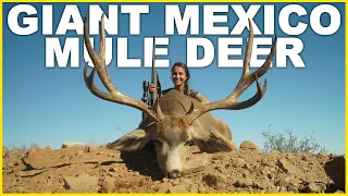 BIGGEST MULE DEER ON EARTH