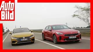 VW Arteon vs Kia Stinger (Goldenes Lenkrad 2017) Test/Review/Details