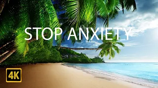 Healing Music Absolute Stress Relief, Stop Anxiety 🌍 Nature in 4K • Relax, Sleep, Meditate, Study