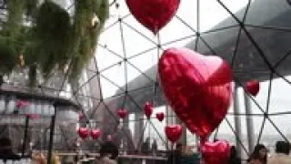 Valentine's Day couples enjoy Eiffel Tower visit