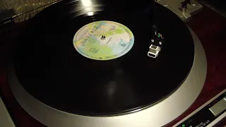 Fleetwood Mac - Go Your Own Way (1977) vinyl