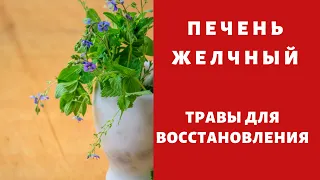 Лучшие травы для печени жёлчного пузыря ! Начинай менять характер !