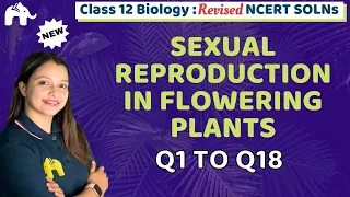 Sexual Reproduction in Flowering Plants Class 12 Biology Revised NCERT Bio Chapter 1 Questions 1-18