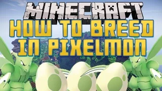 How to start breeding! | Pixelmon guide