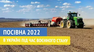 Посівна 2022 в Україні під час воєнного стану | TV Regio Україна