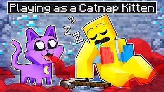 Playing as a CATNAP KITTEN in Minecraft!