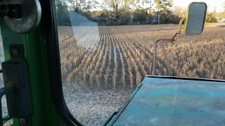 First Beans picked in 2020