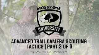 Advanced Scouting For Deer Using Trail Cameras (Part 3 of 3)