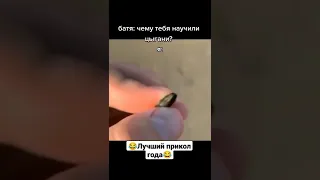 Самые смешные приколы и мемы года 😂 #мемы #приколы