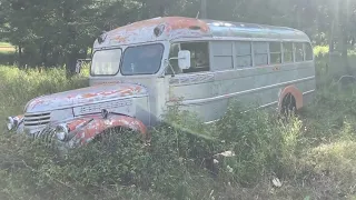 1946 Chevy Superior 7 window school bus - Kool-Aid Acid Test - Into The Wild - Electric Mayhem