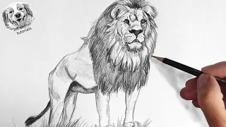 How to Draw a Lion with Pencil Very Easy and Step by Step