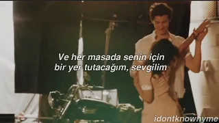 Taylor Swift feat. Shawn Mendes - Lover (Türkçe Çeviri)