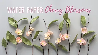 How to make Wafer Paper Cherry Blossoms | Florea Cakes