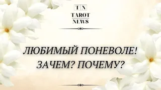 ЛЮБИМЫЙ ПОНЕВОЛЕ! ЗАЧЕМ? ПОЧЕМУ?