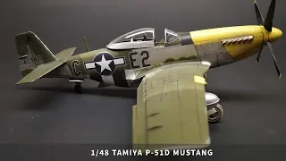 Tamiya P-51D "Lou IV"