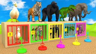 Cow Mammoth Elephant Duck Gorilla Tiger Guess The Right Key ESCAPE ROOM CHALLENGE Animals Cage Game