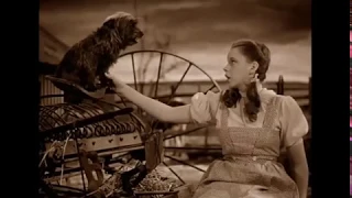 THE WIZARD OF OZ ('39): "Over the Rainbow"