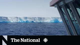 World's largest iceberg now drifting in open water