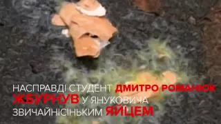 Річниця "яєчного теракту" проти Януковича