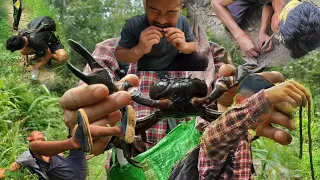 Catching crab with earthworm 😱 for dinner|Naga style|Northeast india