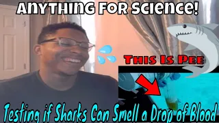 Testing if Sharks Can Smell a Drop of Blood [Reaction!]