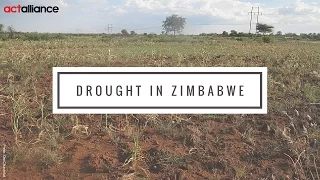 Drought in Zimbabwe