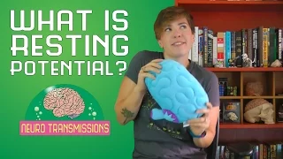What is Resting Potential?