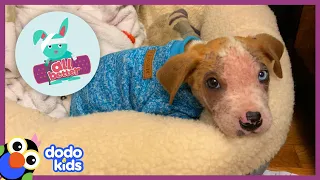 All Better — Itchy Puppy With Hurt Skin Needs Help To Play Again | Dodo Kids