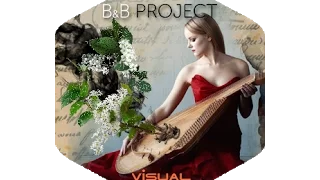 Visual Fusion - B&B project teaser