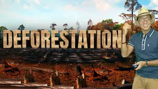 Deforestation sa mundo, patuloy na lumalala | Kaunting Kaalaman