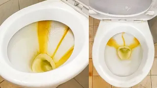 Here's What Happens When You Put Vinegar In Your Toilet! Flush After 10 Minutes This Happens