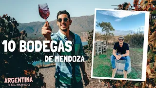 10 BODEGAS DE MENDOZA 🍷 - La ruta del VINO MENDOZA #1 Argentina y el mundo