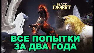 🐎 BDO: Моя история пробуждения Единорога/Пегаса/Дума за 2 года в Black Desert (MMORPG)